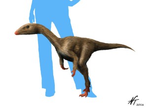 Dracoraptor_NT