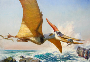 Pteranodon_sm