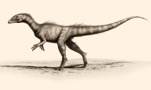 image_3577_1e-Dracoraptor-hanigani