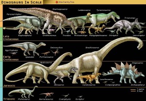 10-Dinosaur-Facts-and-Records-2