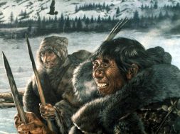 neanderthalcaselli