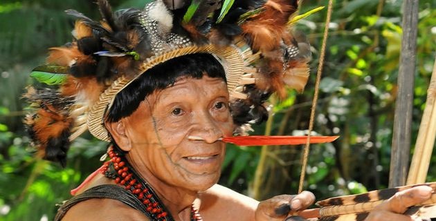 LA GENETICA RESTACA AMAZONAS E AUSTRALASIA