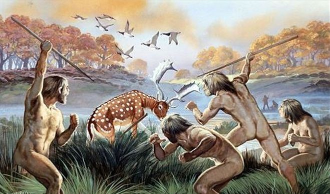 Neandertal poiriá aver caçat amb de javelinas