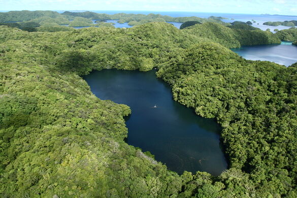 LO LAC DE LAS MEDUSAS