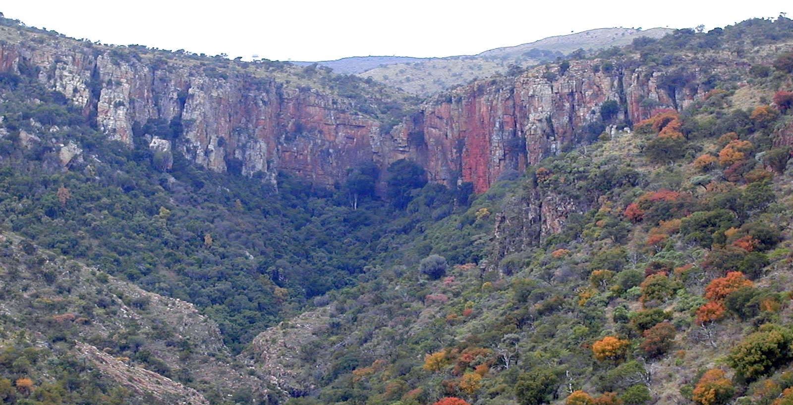 ERA PÈIRA MÈS ESTIMADA