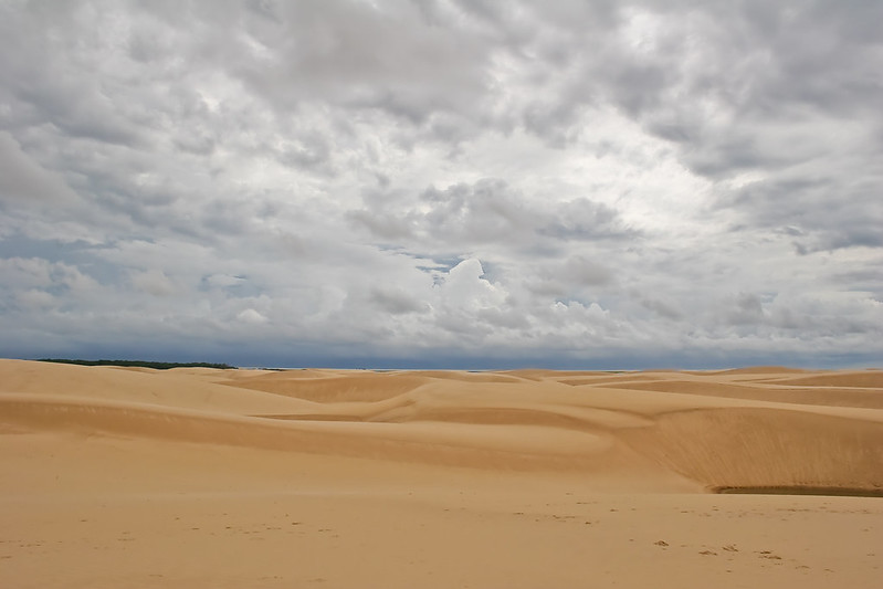 ERA SEQUÈRA D’AMAZONAS , FÒRÇA GRÈVA