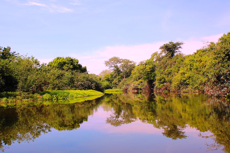 LA DARRIÈRA FRONTIÈRA VERDA, MATO GROSSO