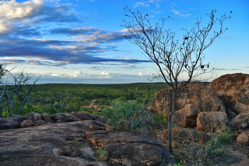 QUEENSLAND, UN PARADÍS TROPICAL